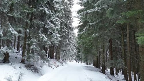 Aerial Low Flight Over Snowy Winter Forest Road