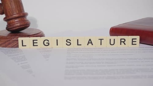 Word LEGISLATURE on Scrabble