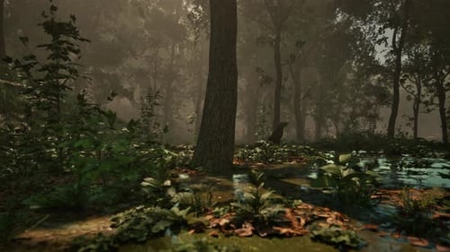 Rays of Light Falling Through the Mist and Trees in the Swamp