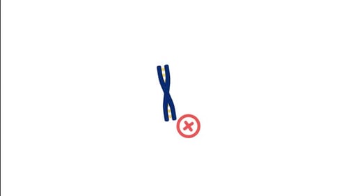 No Gmo Animated Icon