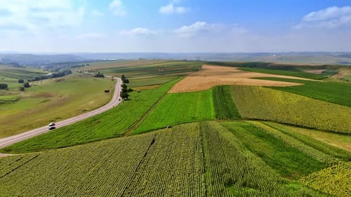 Bright fields beneath blue skies. Wide view of rolling farmland with lush green fields