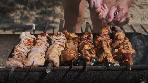 Cooking Barbecue on Skewers on the Grill in Nature Prepare BBQ on Coals
