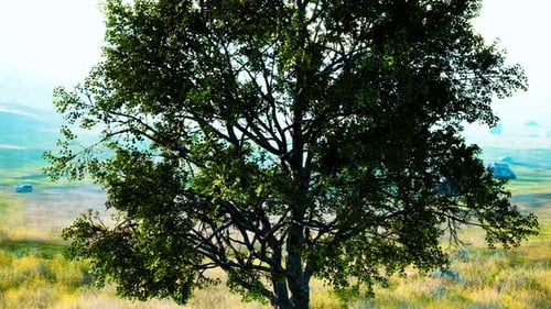 Landscape with a Hill and a Single Tree at Sunrise with Warm Light