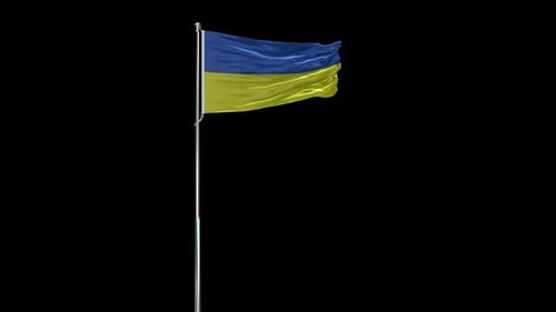 Realistic Waving Ukrainian Flag 3D Loop Animation