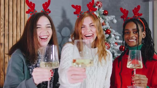 Smiling Women Toasting Christmas Holiday