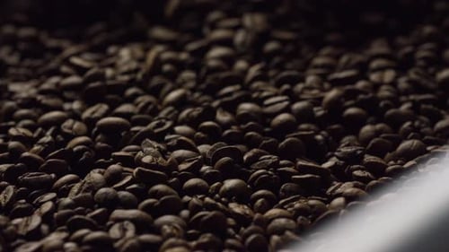 Coffee Beans Actively Roasted in Dark Environment