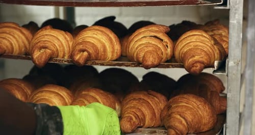 4k video footage of an unrecognizable baker removing croissants from a shelf at a bakery