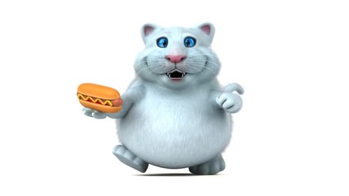 Fun cat - 3D Animation