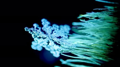Snowflake under microscope