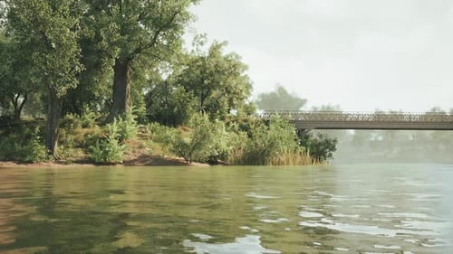 Tranquil Riverside View with a Bridge and Lush Greenery During Daytime