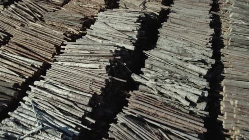 Ecology Wood Processing Factory Luftaufnahme einer großen Anzahl von für die Verarbeitung geernteten Baumstämmen