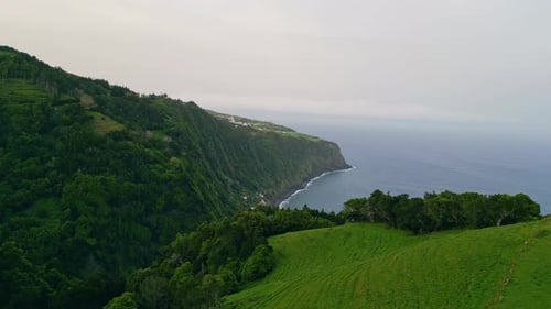 Foggy Ocean Shore Landscape Drone View Lush Green Forest on Coastal Hills
