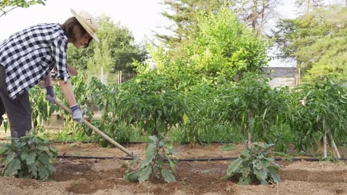 Jeune agricultrice travaillant dans un jardin vert urbain tout en labourant le sol fertile