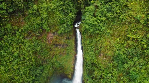 Tall Waterfall Plunging Into a Deep Jungle Canyon Surrounded By Greenery