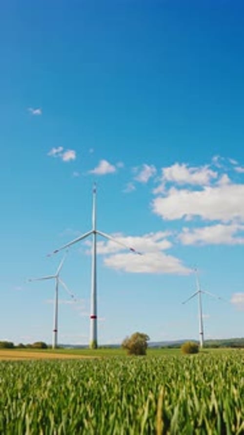 Grünes landwirtschaftliches Feld mit im Wind rotierenden Luftturbinen