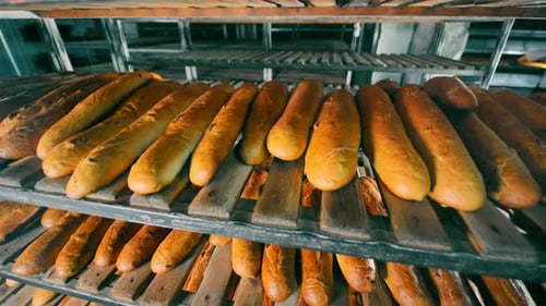 Production Of Bread In A Bakery