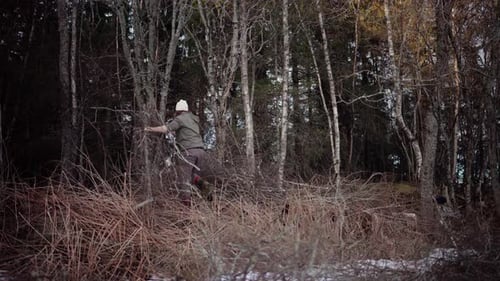 The Man is Piling Kindling Beside the Edge of the Forest - Static Shot