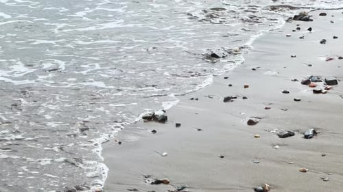 Closeup of a Variety of Pebbles on the Sandy Beach with Gentle Waves in the Background