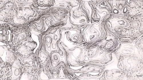 Dynamic Flowing Abstract Ink Outline Background