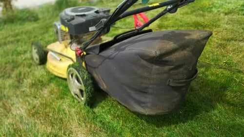 Tondeuse à gazon coupant l'herbe verte de près. Jardinier travaillant avec une tondeuse.