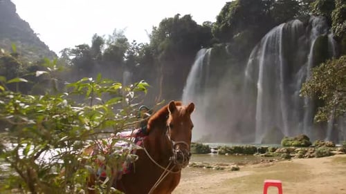 Beautiful Brown Horse At The Water's Edge Of Cao Bang Waterfalls (Ban Gioc-Detian Falls) On The Bord
