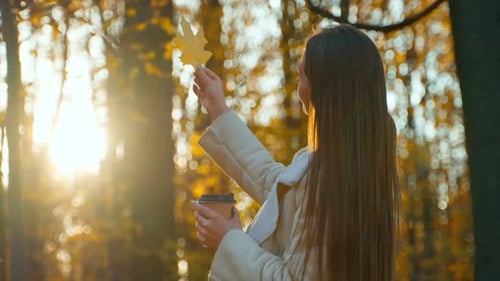 Woman Enjoys Autumn Foliage in Sunlight Park