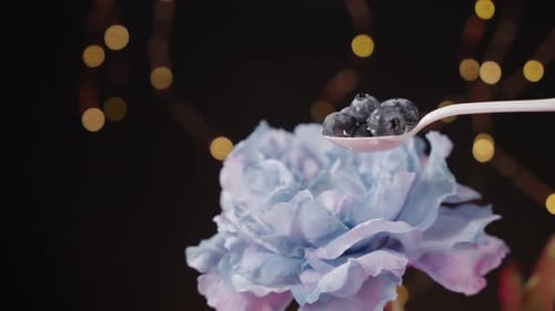 Fresh Blueberries with Decorative Flower, Food Still Life
