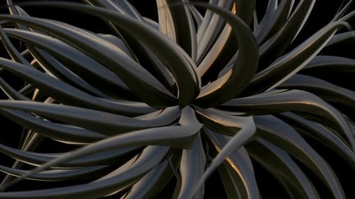 Dark Metallic Plant Textured Background Animation