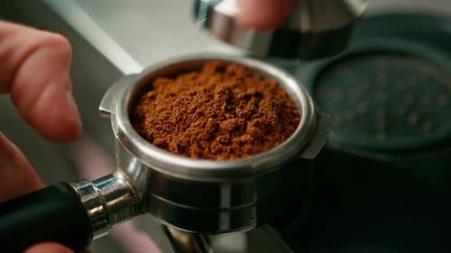 A professional barista in a coffee shop prepares ground coffee by tamping fresh ground coffee beans