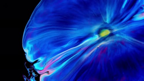 Abstract Color Swirls on Black Background