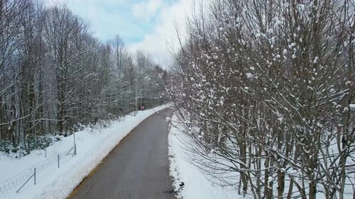 Aerial Snowy Forest Road