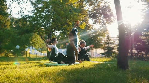 Women Practicing Yoga Outdoors in a Sunny Park