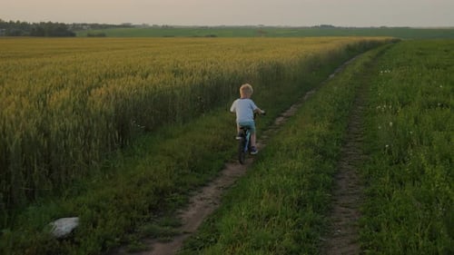The Camera Flies Low Behind a Boy Who is Riding a Bike Fast at Sunset