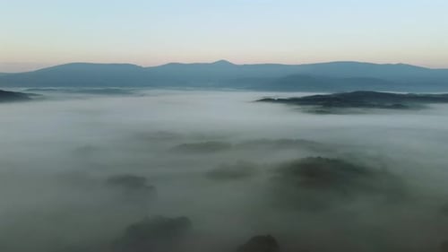 Foggy Valley Aerial at Sunrise