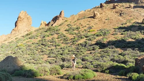 Frau mit Strohhut spaziert im Teide-Nationalpark, Spanien. Reisen in ganz Europa.