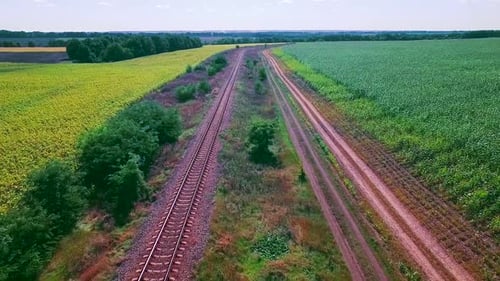 Eisenbahn zwischen Feldern