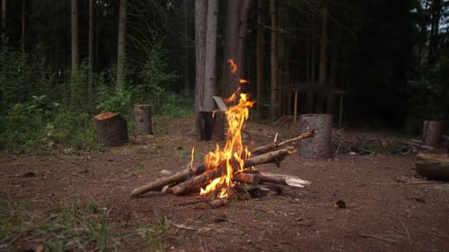 Campfire Burning Brightly in a Tranquil Forest Clearing