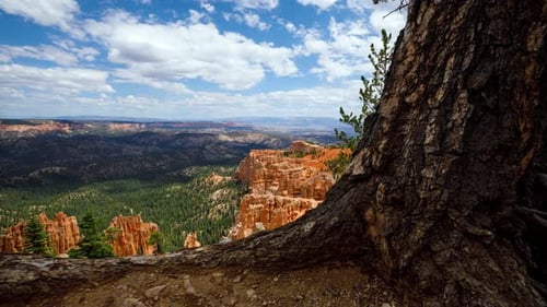 The Incredible Rock Formations At Bryce Canyon