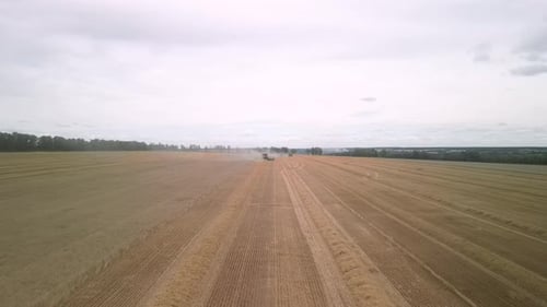 Wheat field aerial view in Ukraine
