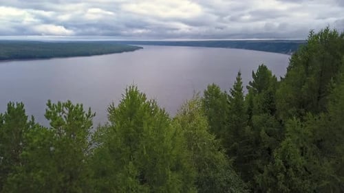Summer landscape with river and forest. Clip. Drone view of a small urban lake around green blossom