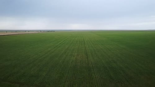 Aerial View of the Green Field
