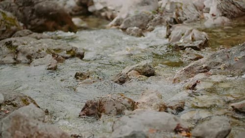 Pure Fresh Water Stream In Mountains Clean Water River Flowing