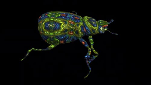 Fantasy Scarab Beetle - Walking Loop - Side Close Up View - Alpha Channel