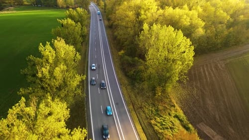 Vue aérienne d'un lot de voitures conduisant sur une route ensoleillée et propre près d'une forêt avec des arbres jaunes