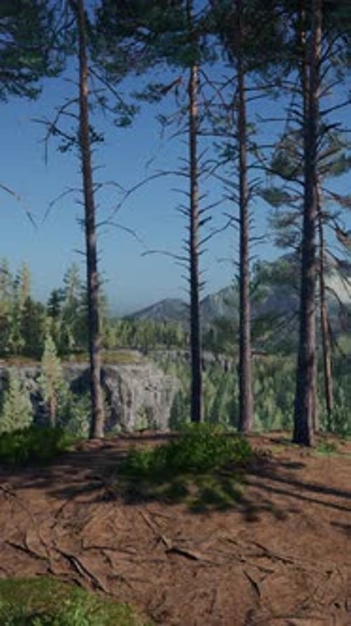 Mountains Covered with Woods in the Early Morning Mist