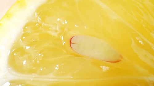 Juicy Lemon Half, Close-Up Studio Footage