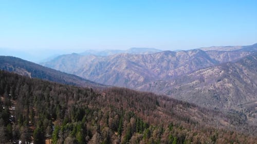 Majestätische Berge und üppige Wälder schaffen ein atemberaubendes Landschaftsmedium