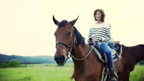 A Senior Couple Riding Horses In Nature. Slow Motion