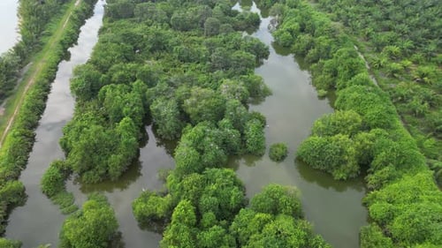 A river running through a lush green forest