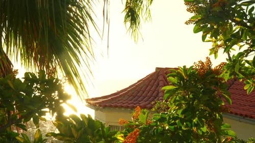 Remote hotel building surrounded with palm trees in Tenerife, bright sunset
